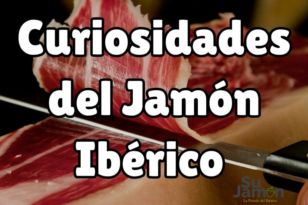Descubre algunas curiosidades del jamon iberico