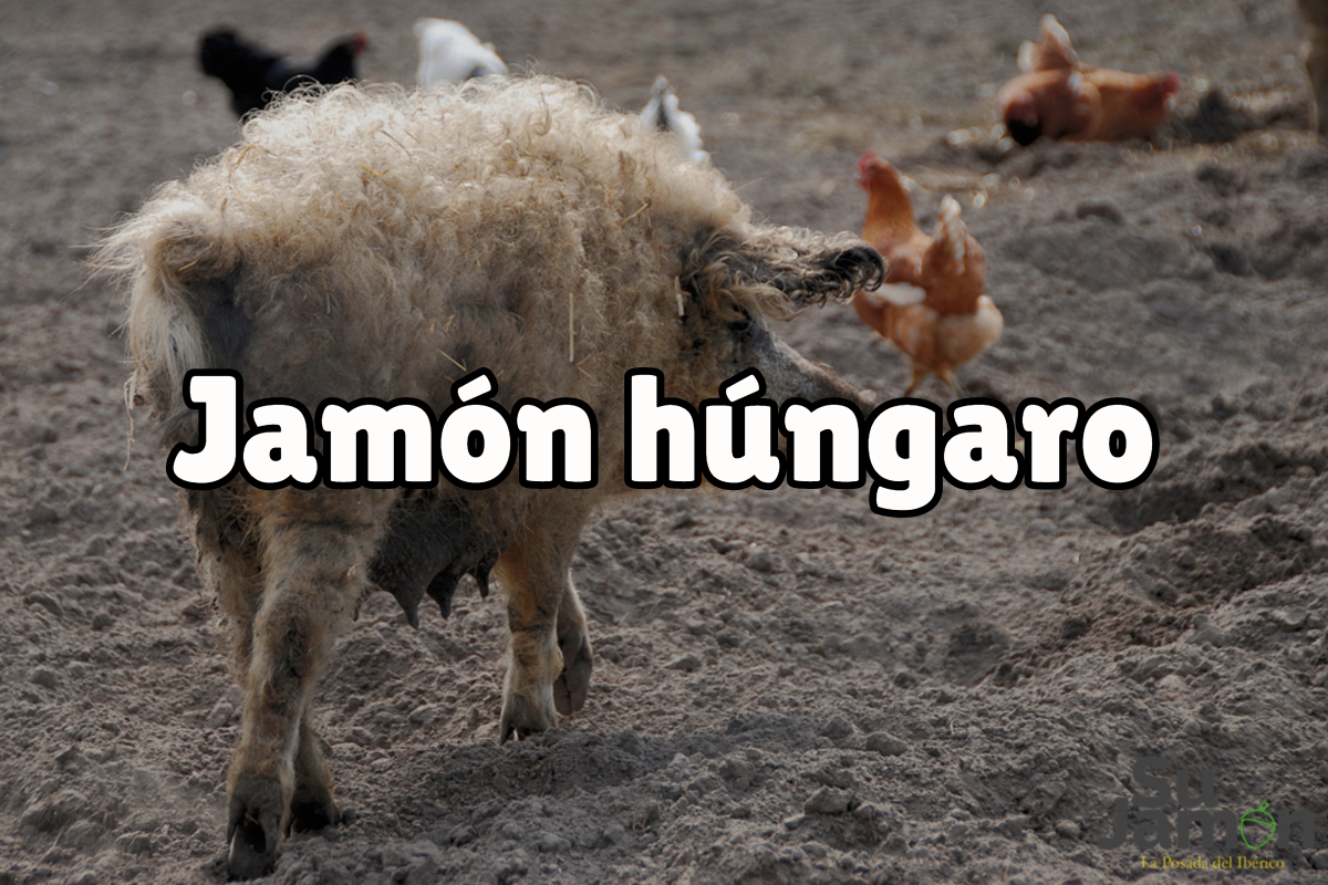 ¿Qué es el jamón húngaro?